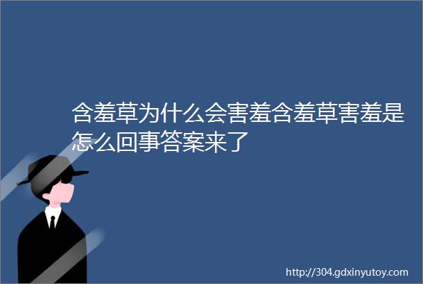 含羞草为什么会害羞含羞草害羞是怎么回事答案来了